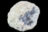 Sky Blue Celestine (Celestite) Geode - Madagascar #107349-2